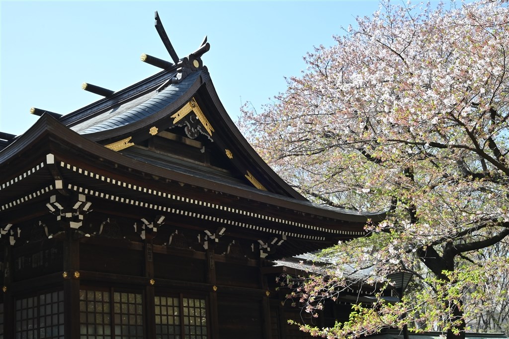 【美品】modify モデファイ⭐︎アンゴラ混ラグラン袖コート　日本製 美品】modify モデファイ⭐︎アンゴラ混ラグラン袖コート 日本製