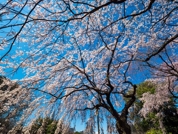 オリンパス M.ZUIKO DIGITAL ED 7-14mm F2.8 PRO投稿画像・動画