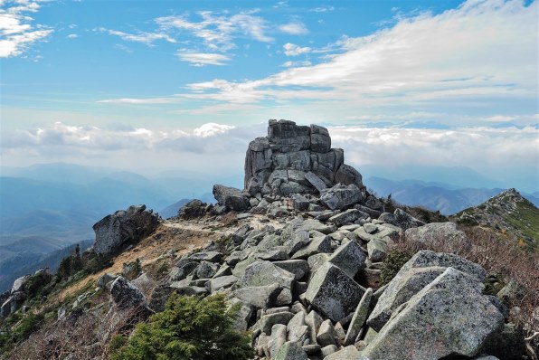 ニコン D40 ボディ レビュー評価・評判 - 価格.com