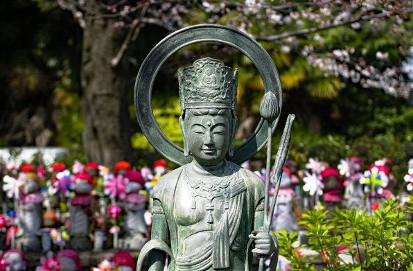 ニコン AI AF Zoom Nikkor 35-70mm F2.8D 価格比較 - 価格.com