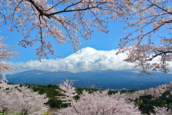 ニコン 1 NIKKOR 18.5mm f/1.8 [ブラック]投稿画像・動画 - 価格.com