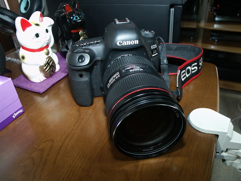 ブランド雑貨総合 Canon 標準ズームレンズ EF24-105mm F4L IS II USM