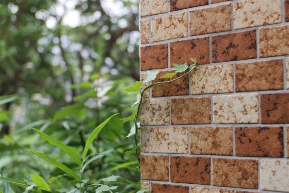 七工匠 7artisans 25mm F0.95 Xマウント用 Amazon | 7artisans 七工匠 25mm F0.95 ED (富士フイルムX
