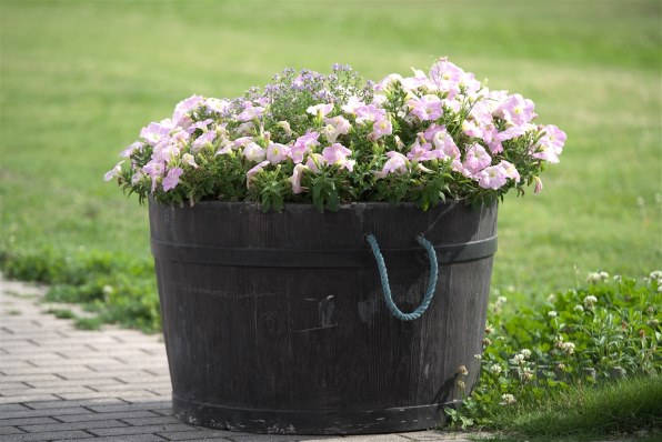 TAMRON 70-210mm F/4 Di VC USD (Model A034) [キヤノン用]投稿画像