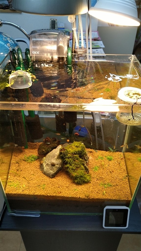 アクアリウム水槽で使用。ニューラージパールグラスが育ってます