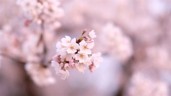 カメラ デジタルカメラ 富士フイルム FUJIFILM X-T20 レンズキット レビュー評価・評判 - 価格.com