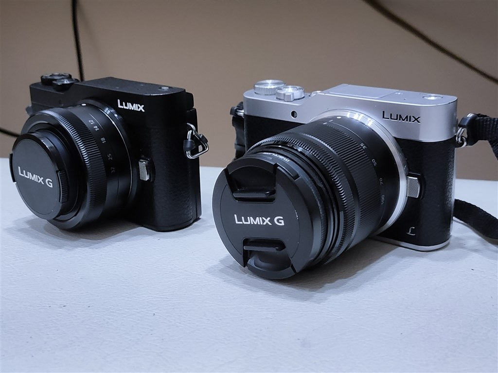 金具が擦れ塗装が剥げて、悲しくなる』 パナソニック LUMIX DC-GF9W-S ...