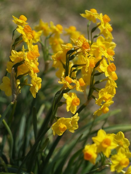 オリンパス E-500 バリューキットで撮影された写真 - 価格.com