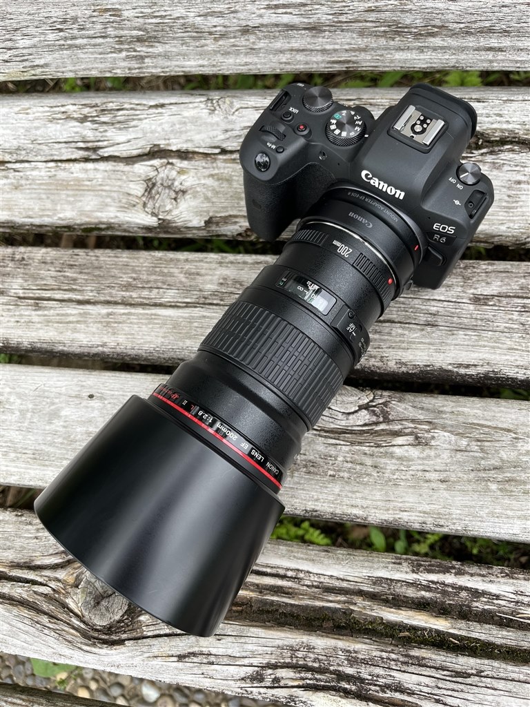 価格に納得、むしろ1DXmk3の半値以下でコスパ最高！』 CANON EOS R6