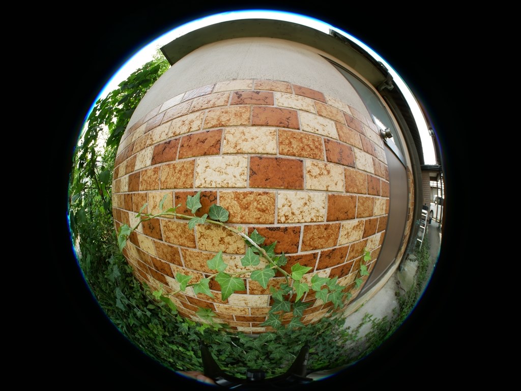 やっと全周が画面内に収まりました』 Meike MK-3.5mm F2.8 MK035F28M4