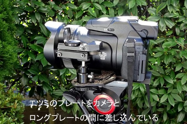 ニコン COOLPIX P1000 レビュー評価・評判 - 価格.com