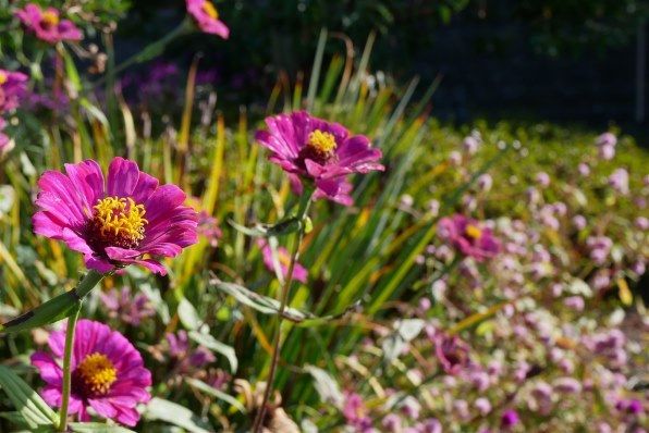 パナソニック LUMIX G 14mm/F2.5 ASPH. H-H014投稿画像・動画 - 価格.com