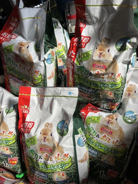 チモシー AZUL BY MOUSSY | AZモチーフミニウォレット (財布 ) |SHEL'TTER