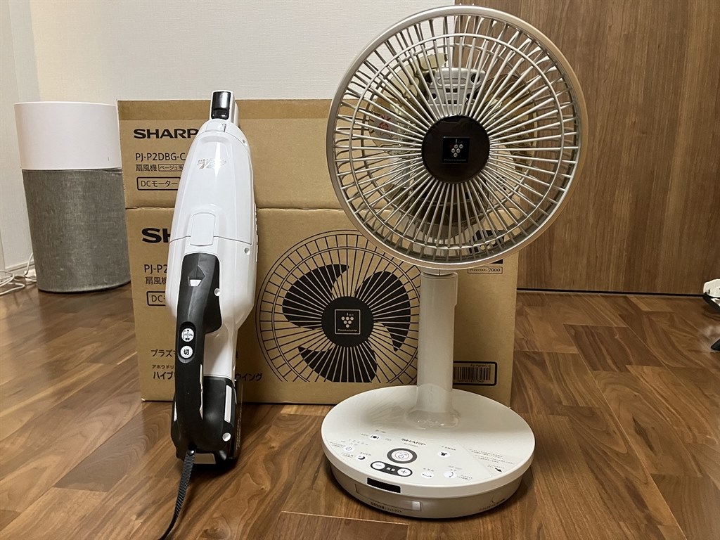買い手は選ぶが目的が明確ならば問題なし。』 シャープ PJ-P2DBG