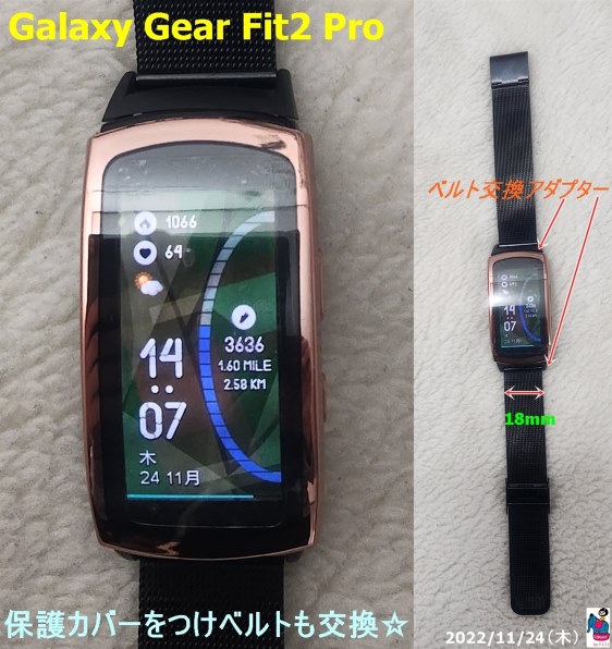 サムスン Galaxy Gear Fit2 Pro Large SM-R365NZRAXJP [レッド]投稿画像・動画 - 価格.com