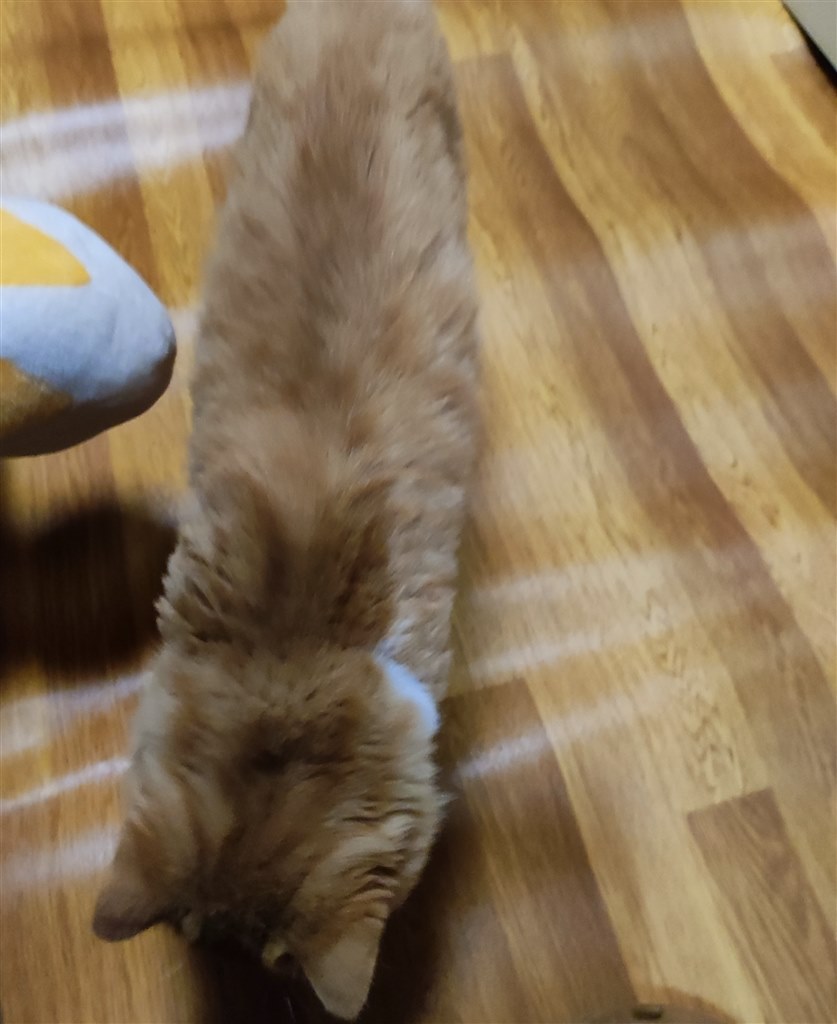 シワがないだけでも お薦めです』 パナソニック かんたん床暖 DC-1V4