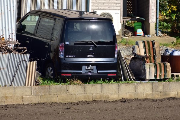 【作例有】ニコンAF-P DX 70-300mm f4.5-6.3G VR 美品 Nikon AF-P DX NIKKOR 70-300mm f/4.5-6.3G ED VRを徹底解説。作例から