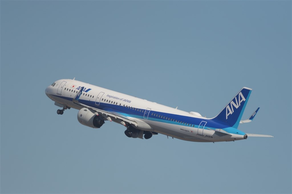 テレコン付きでは動体は厳しいか』 シグマ 150-600mm F5-6.3 DG OS HSM