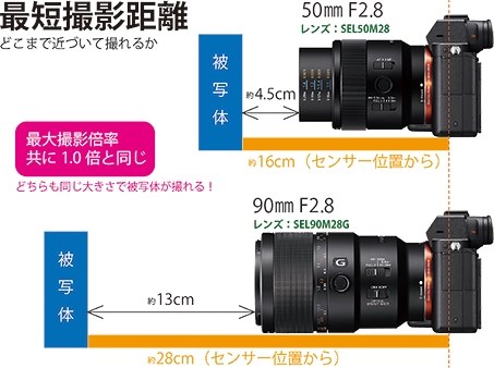 購入レビュー』 SONY FE 50mm F2.8 Macro SEL50M28 ☆たぁのすけさんのレビュー評価・評判 - 価格.com