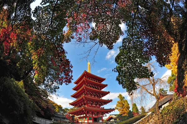 ニコン D700 ボディ レビュー評価・評判 - 価格.com