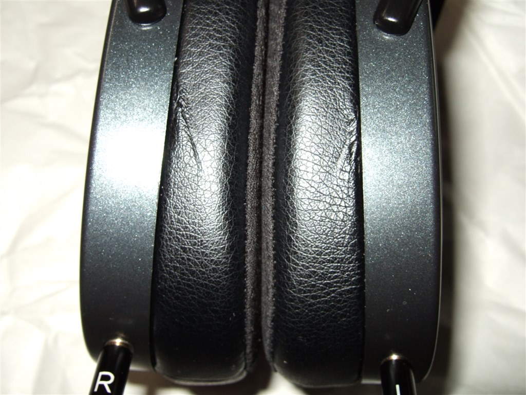 Arya活用の報告！』 HiFiMAN Arya 除雪の華さんのレビュー評価・評判