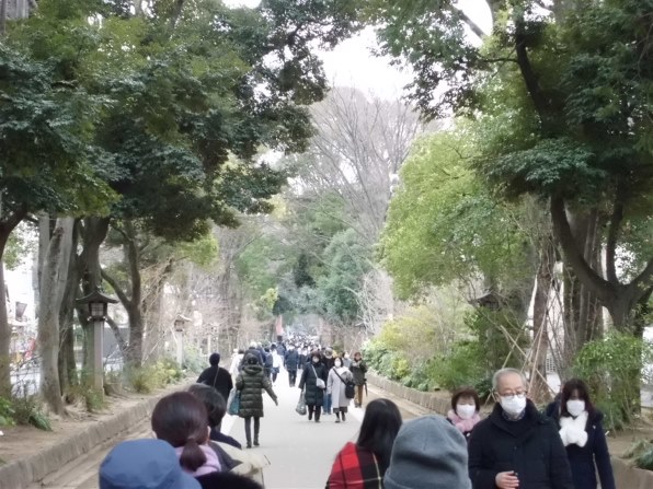 コダック PIXPRO FZ52 [シルバー]投稿画像・動画 (レビュー