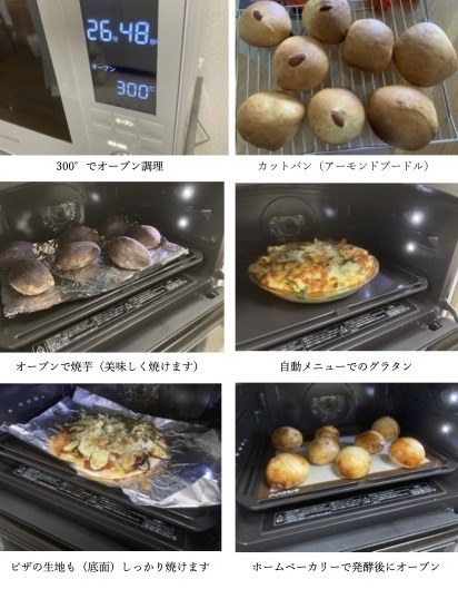 電子レンジ 石窯ドーム オーブンレンジ 2013年電子レンジ