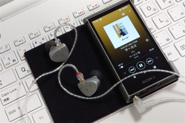 SONY CKS-NWA300 (H) [グレー] 価格比較 - 価格.com