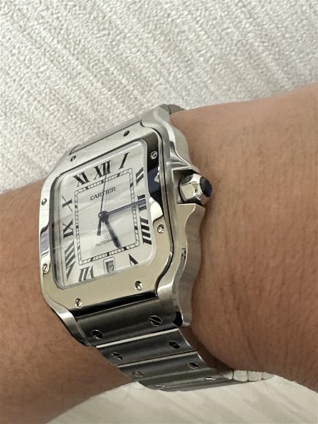 カルティエ サントス ドゥ カルティエ ウォッチ WSSA0018 価格比較