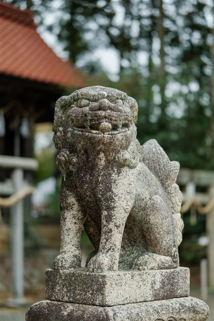 寄れて描写が良い、小型軽量、簡易防塵防滴、そして安い 寄れて描写が良い、小型軽量、簡易防塵防滴、そして安い