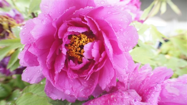 SONY E16mm F2.8 SEL16F28で撮影された写真 (レビュー) - 価格.com