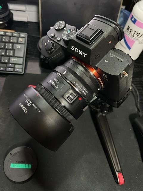 コスパ最高！』 CANON EF50mm F1.8 STM クリーシィさんのレビュー評価