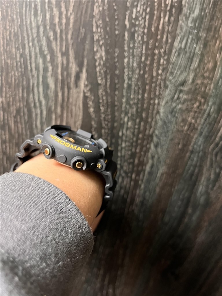 ２代目フロッグマン復刻はやっぱりかっこいいです。』 カシオ G-SHOCK ...