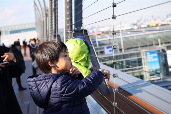 CANON EF-S55-250mm F4-5.6 IS STMで撮影された写真 (レビュー) - 価格.com