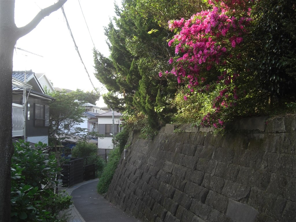 低感度でのみ実用な画質か？ノスタルジーな色味のEXILIM高画素機