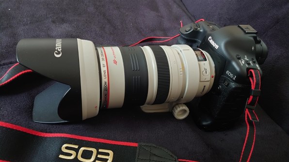 CANON EF35-350mm F3.5-5.6L USM 価格比較 - 価格.com