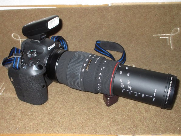 最新発見 レンズ(ズーム) SIGMA Canon MACRO DG F4-5.6 70-300mm APO