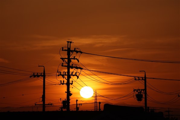 シグマ APO 70-300mm F4-5.6 DG MACRO (ｷﾔﾉﾝ AF)投稿画像・動画 - 価格.com