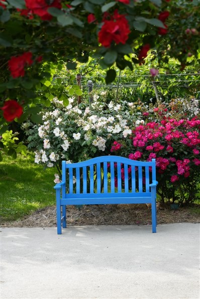 コシナ フォクトレンダー MACRO APO-LANTHAR 65mm F2 Aspherical