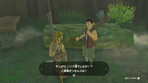 任天堂 ゼルダの伝説 ティアーズ オブ ザ キングダム [Nintendo