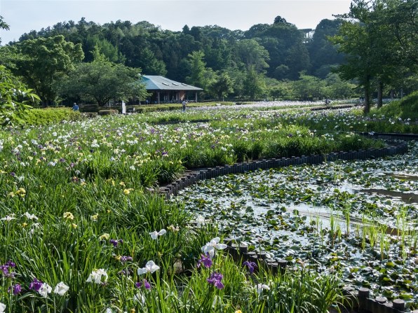 CANON PowerShot Pro1投稿画像・動画 - 価格.com