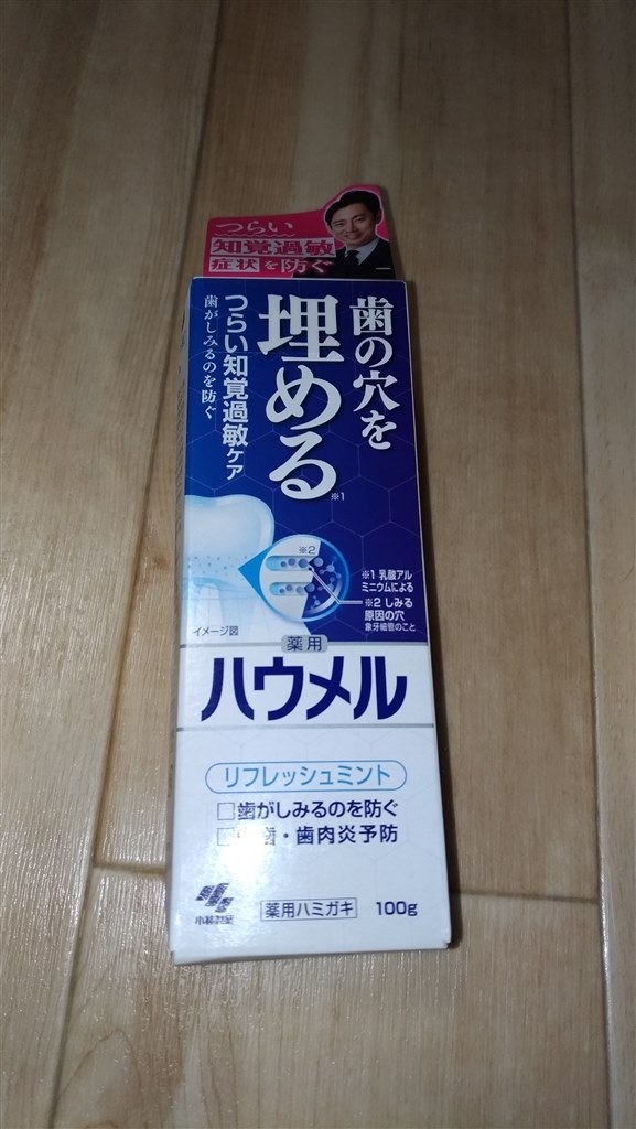 薬用 ハウメル 歯磨き粉 100g ×2 - その他