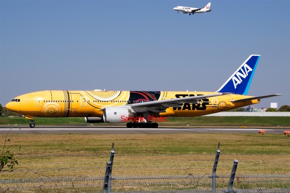 SONY α550 DSLR-A550 ボディ投稿画像・動画 (レビュー) - 価格.com