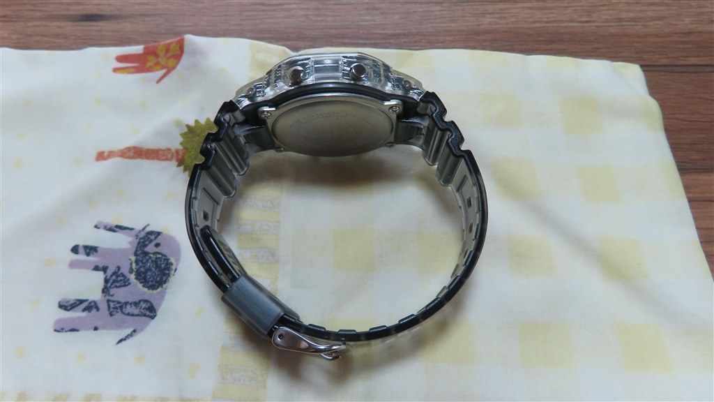 透明感あふれる一本』 カシオ G-SHOCK DW-5600SK-1JF devlinさん
