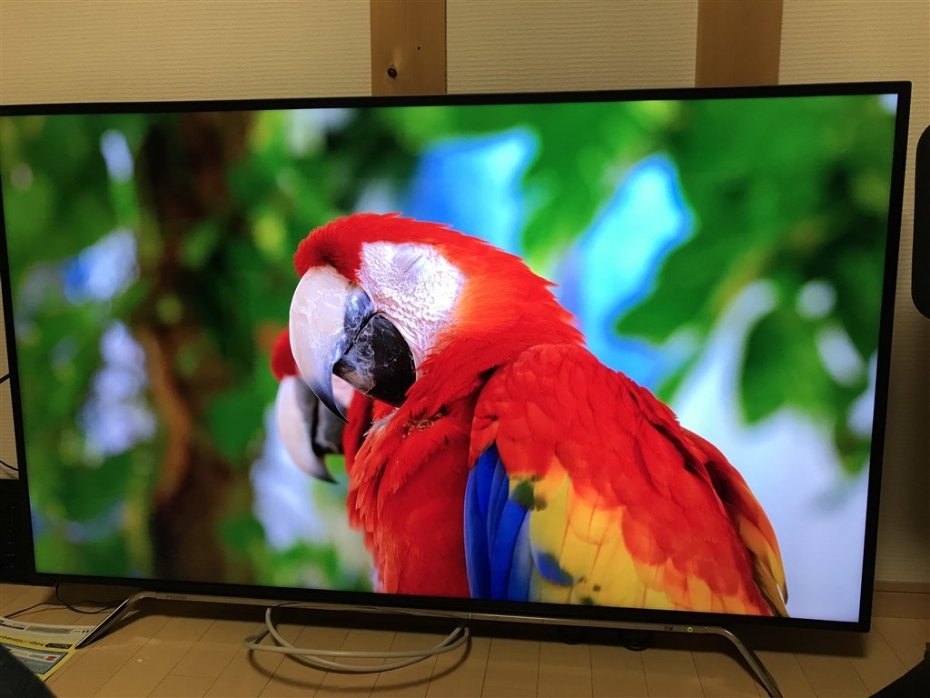 東芝 REGZA レグザ 4K液晶TV 58Z20X 58インチ 大型 TOSHIBA REGZA