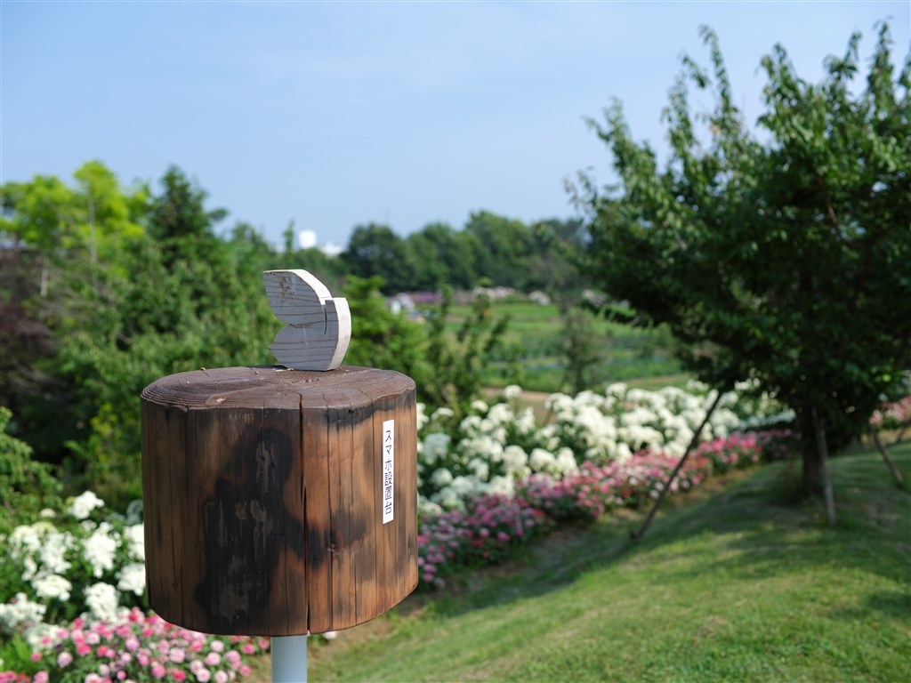 TAMRON - モゲイス Amazon.co.jp: Tamiya 58354 Electric RC Car Series No. 354