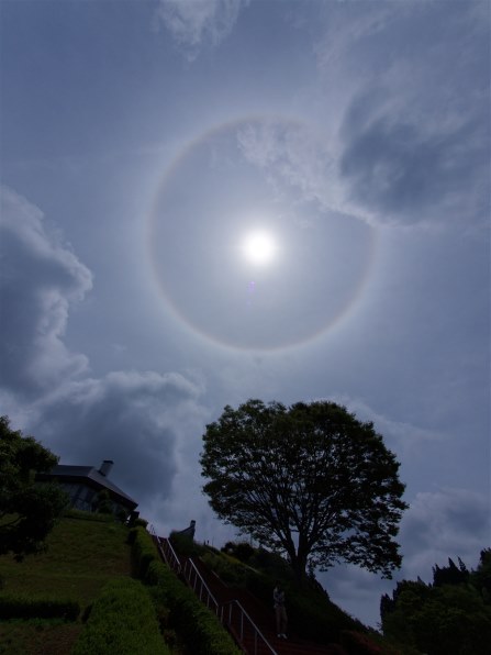 パナソニック LUMIX G VARIO 7-14mm/F4.0 ASPH. H-F007014