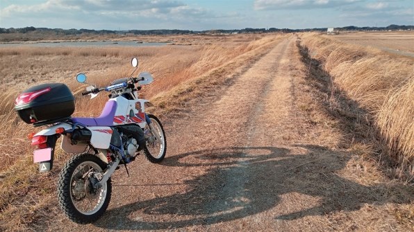 DT125R 3FW ‘97年式　青ブルー 日本製純正品 DT125R 3FW '97年式 青ブルー 日本製純正品 ヤマハ（YAMAHA