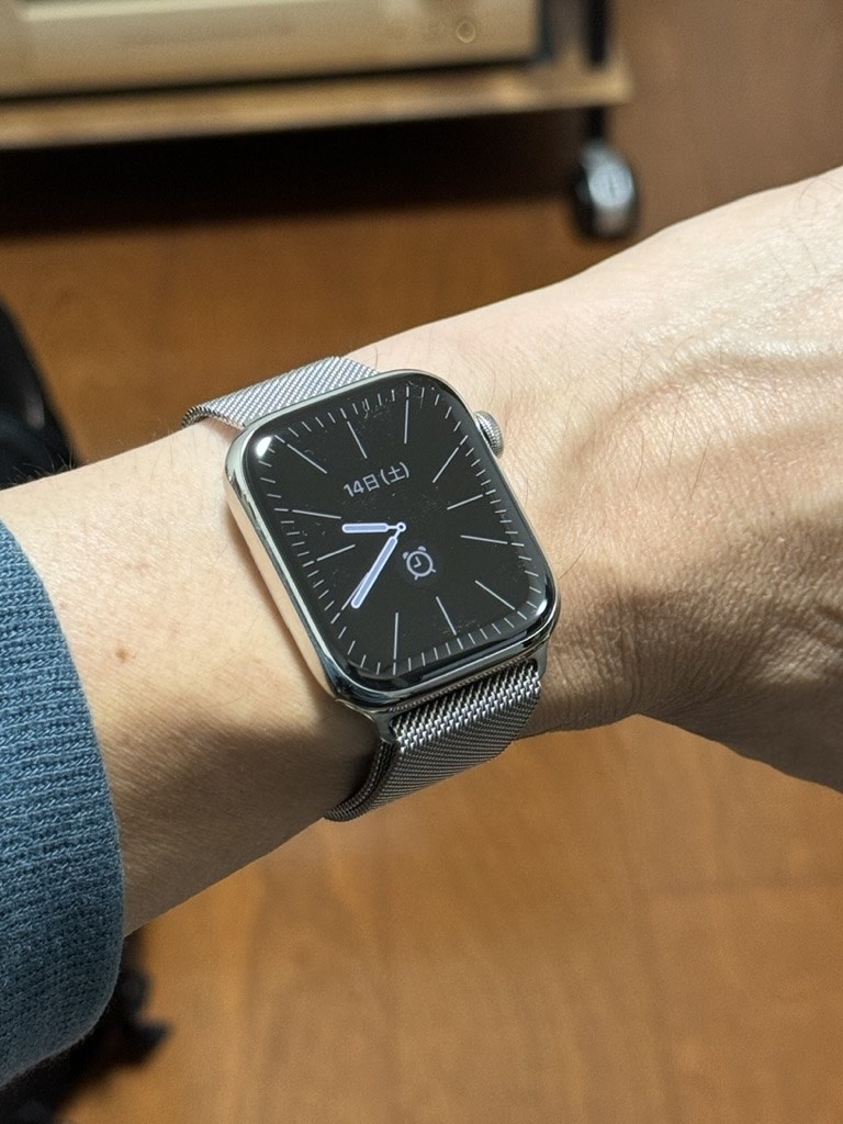 アップルウォッチ ステンレスモデル silver Apple Watch