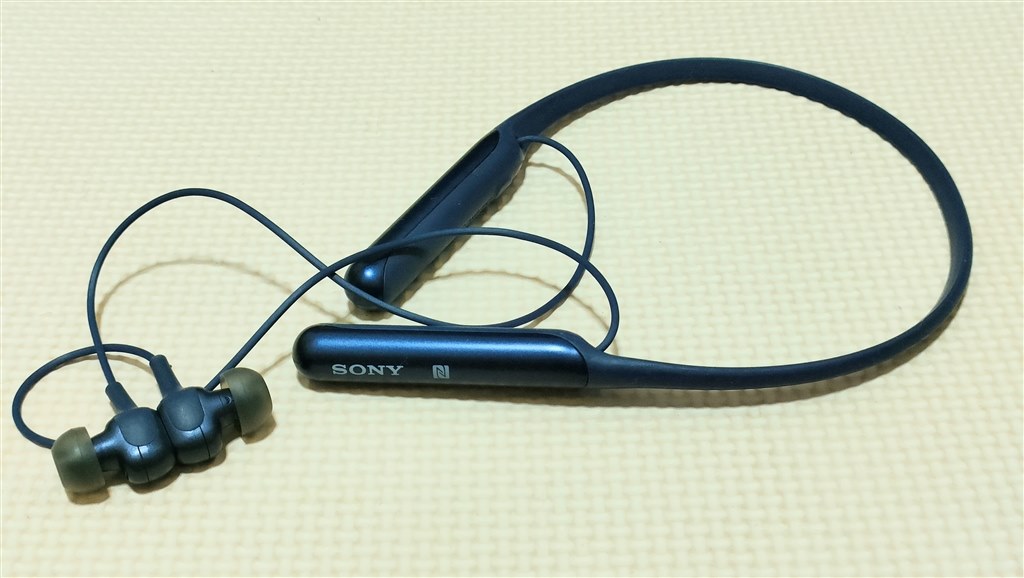 SONY WI-C600Nオーディオ機器 - woning-ontruimingservice.nl